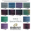 荷蘭 REMBRANDT 林布蘭 專家級管狀水彩10ml (12色) 鐵盒裝 8款可選